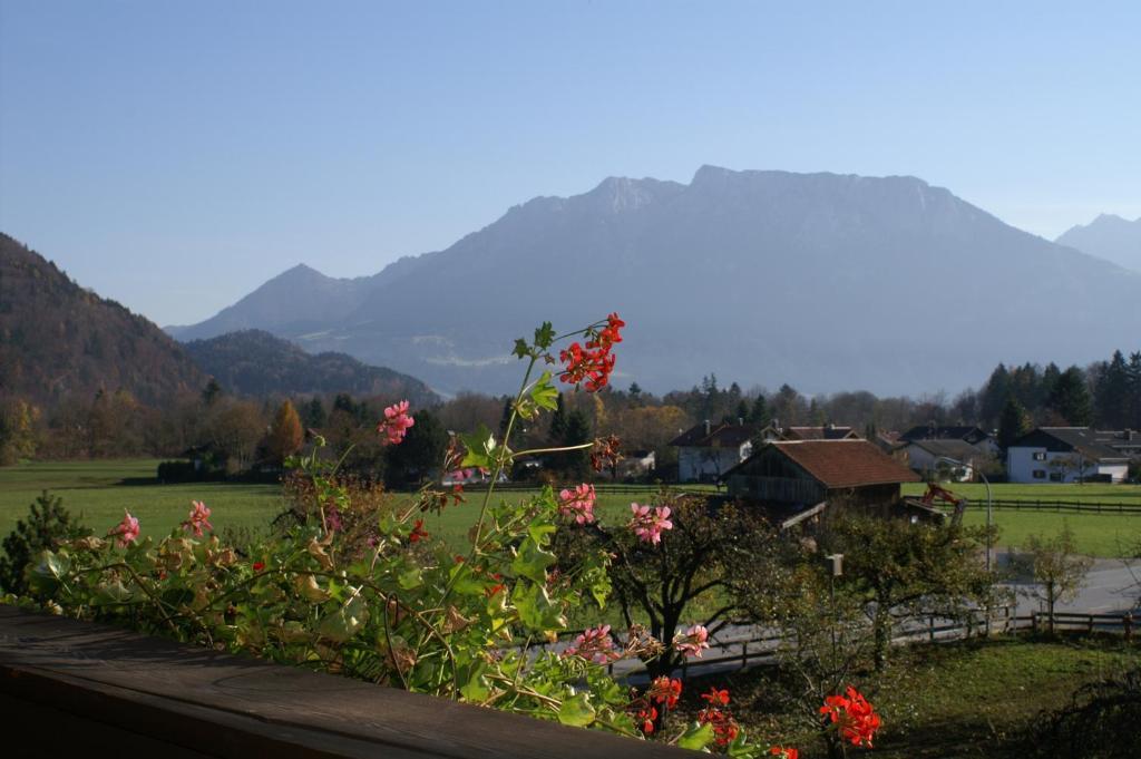 Alpenhof Landhotel Restaurant Oberaudorf Cameră foto